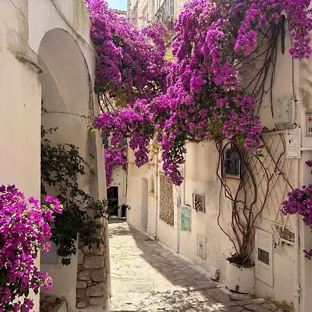 Casa Vipsania Sperlongaresort Apartment